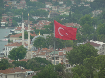 P1040254.JPG 3456x2592 index 10